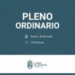 Pleno ordinario (28/05/2026)