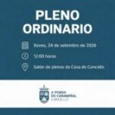 Pleno ordinario