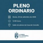 Pleno ordinario